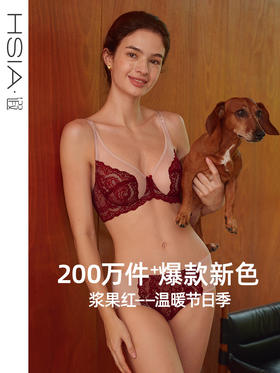 HSIA遐大胸显小全罩杯文胸倾城之恋蕾丝胸罩大码夏季薄款内衣女