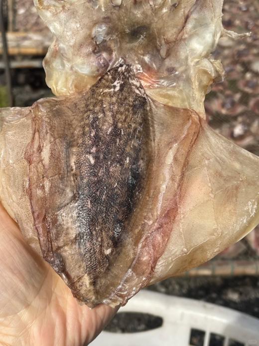 & 淡晒墨鱼干🦑纯日晒☀滋补好东西，零添加，营养价值高✅ 商品图4