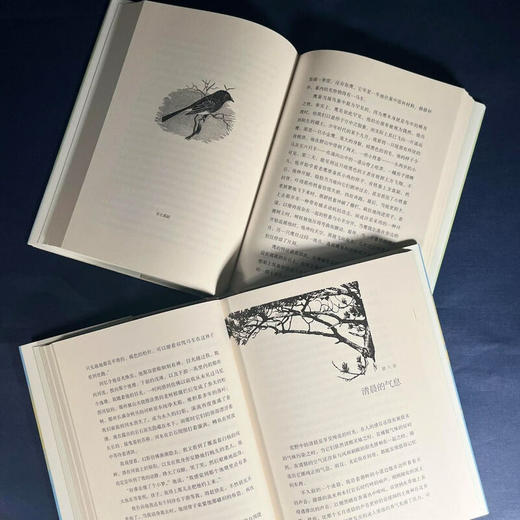 醒来的森林(二版) 约翰·巴勒斯 著 美国自然文学译丛 三联书店旗舰店 商品图5