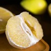 心选丨福建平和爆汁黄金葡萄柚当季新鲜采摘榨汁纯甜 商品缩略图1