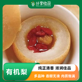 有机梨 | 多品种 香甜无渣 肉质饱满 滋润 |  基地直发包邮*Organic pears