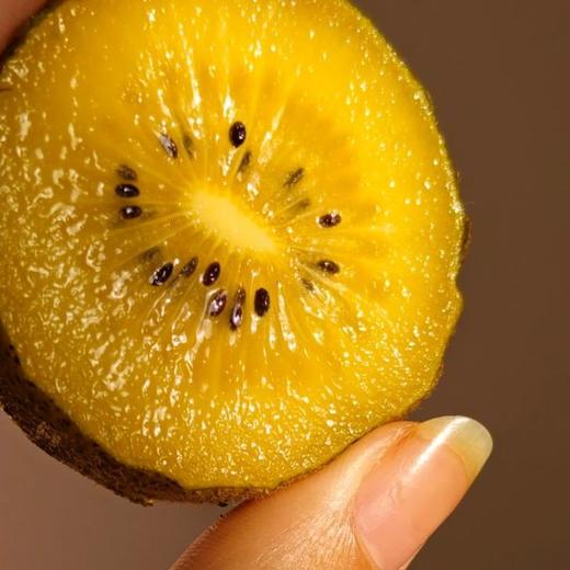 【金秋猕猴桃】应季水果黄心奇异果正宗黄心猕猴桃当季水果 商品图2