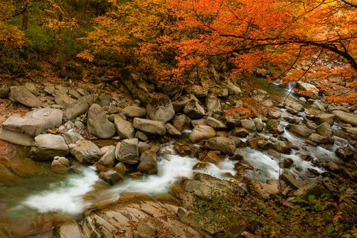 10.24确定出发【秋摄秦巴】红叶大道•光雾山•龙头山•黎坪红叶9天 商品图14