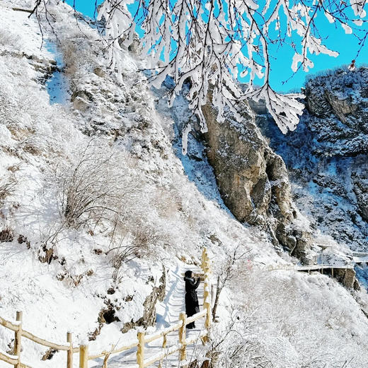 元旦1天【白石山】【免门票】巍巍太行-天下奇山-云端踏步-人间仙境-国家5A 商品图3