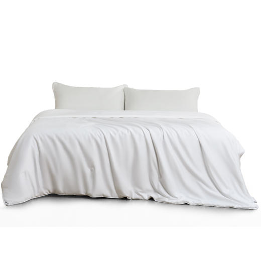 [水星家纺]天赋长绒棉A类抗菌桑蚕丝被(200cm×230cm) 商品图0