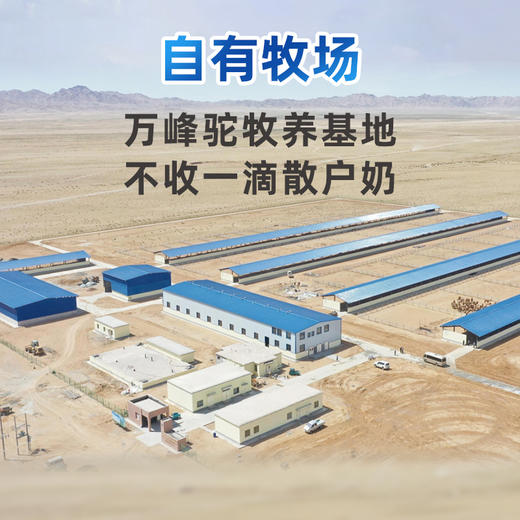 【自营】英格苏儿童成长配方驼乳粉 15g*20条 NM 商品图5