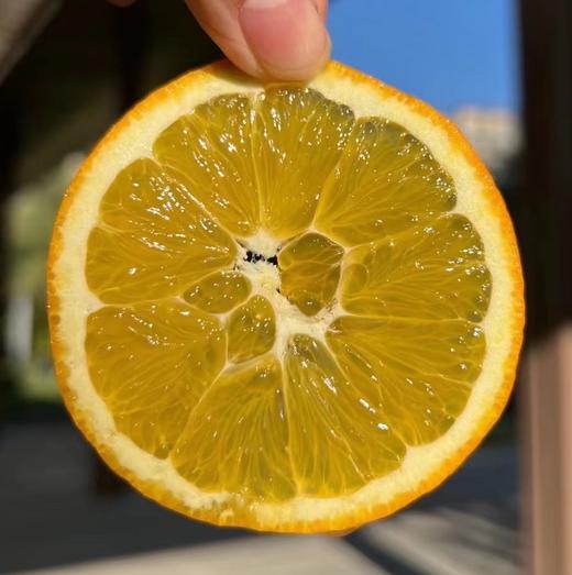 攀枝花纽荷尔脐橙 5-8斤装 新鲜手剥橙子 商品图4