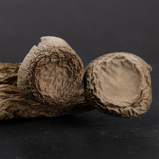 【秒杀 保质期到26.1月13日介意慎拍】小未星鹿茸菇68g 商品图2