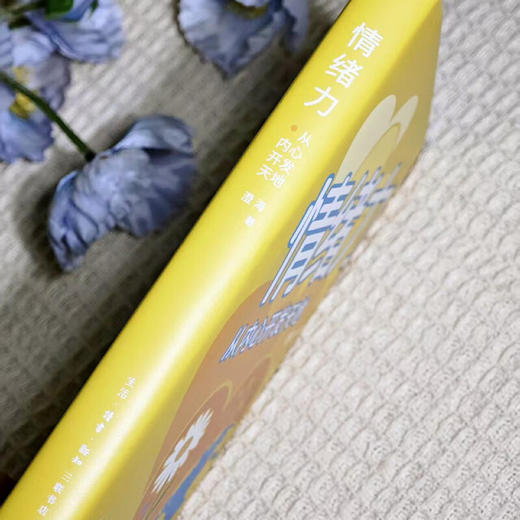情绪力：从内心开发天地 澄海 著 三联书店旗舰店 商品图4