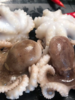 & 小章鱼，限时抢购，清灼🔥红烧色香味具全 让你食欲大开活冻 商品缩略图3