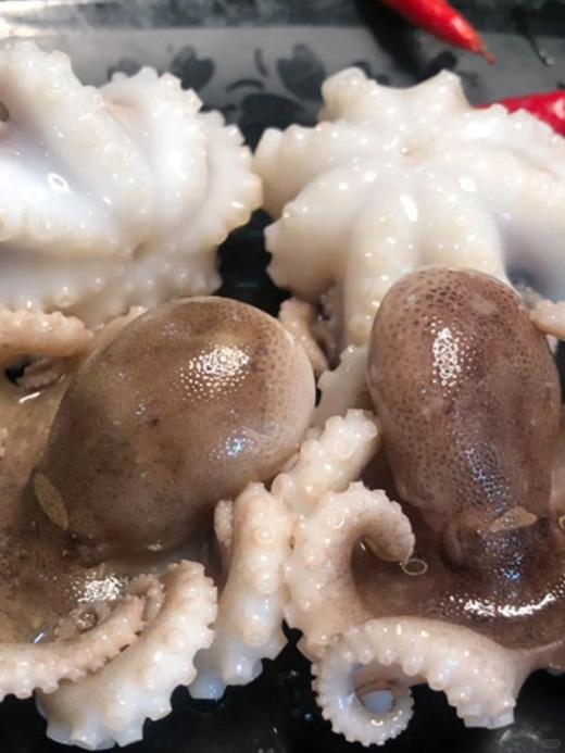 & 小章鱼，限时抢购，清灼🔥红烧色香味具全 让你食欲大开活冻 商品图3