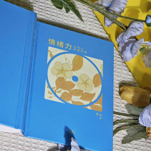 情绪力：从内心开发天地 澄海 著 三联书店旗舰店 商品图3