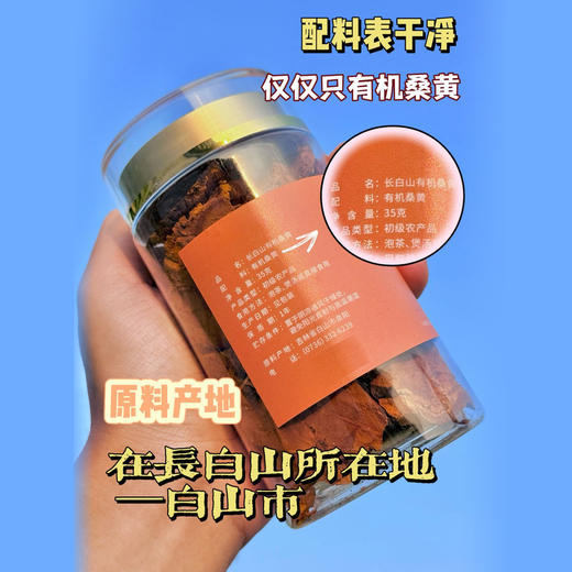 长白山有机桑黄  35克/罐 商品图13
