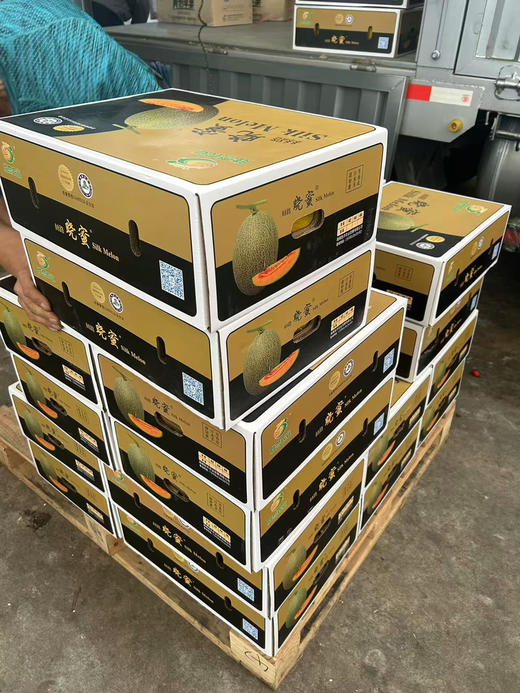 宏丰精选，丝路晓蜜，皮薄肉厚。脆甜多汁  零售‼️9.8一斤 商品图3