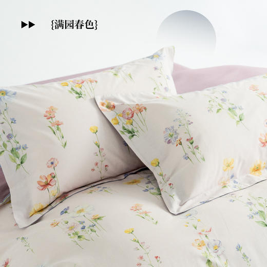 【全棉印花-满园春色】SCHIESSER LIVING  舒雅生活系列全棉印花四件套-满园春色'11010125010015/16 商品图3