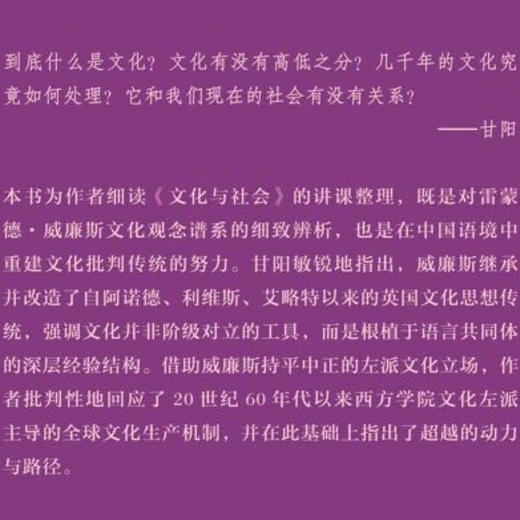 超越西方文化左派：返回雷蒙德•威廉斯  甘阳 著 “文化：中国与世界”新论丛书  三联书店旗舰店 商品图1