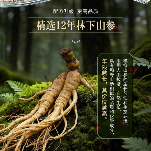 【新品】青春宝 永真片精典版 精选林下山参 免疫调节抗衰老 金装送礼 商品图2