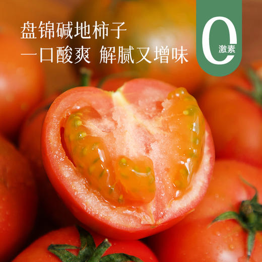 【有故事的西红柿】辽宁盘锦碱地柿子（番茄），酸酸甜甜当水果吃、炒鸡蛋、煮蔬菜汤，果香浓郁～ 商品图0