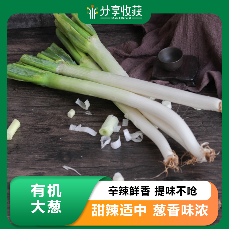 有机大葱  | 甜辣适中 葱香味浓 | 石嫣农场 * Green Chinese Onion | Self-Produced