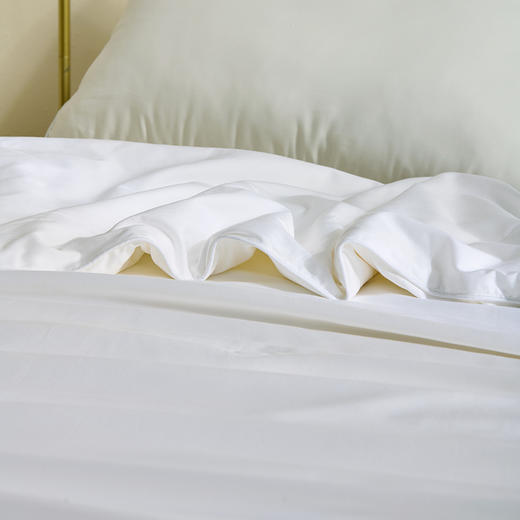 [水星家纺]天赋长绒棉A类抗菌桑蚕丝被(200cm×230cm) 商品图7