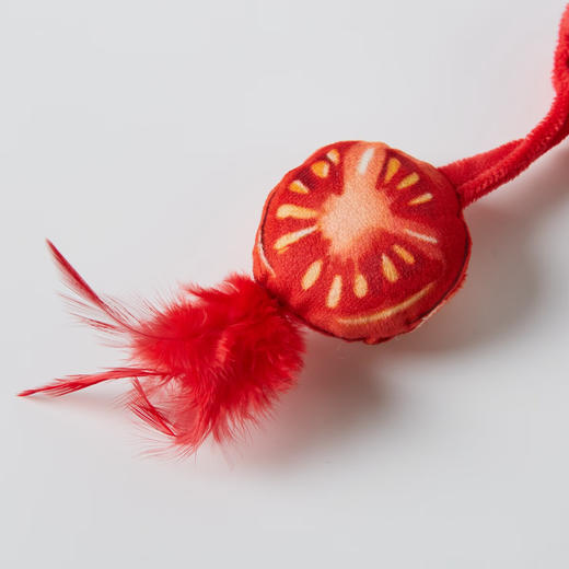 猫咪玩具弹簧自嗨解闷玩具宠物玩具 商品图2