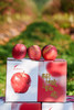 来自半坡阳光的爆蜜苹果，⬆️巨酥脆，汁水丰富💦 ⬆️纯生态种植，在园区附近村民自己在这里放牧，牛粪也是这里的天然养料，3斤/箱 商品缩略图8