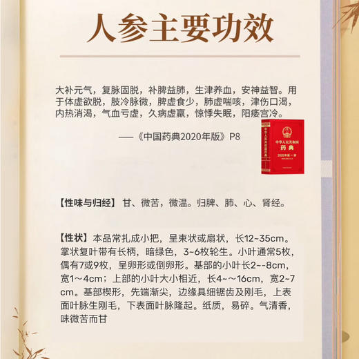 长白山有机人参叶  15克/罐*2罐 商品图8