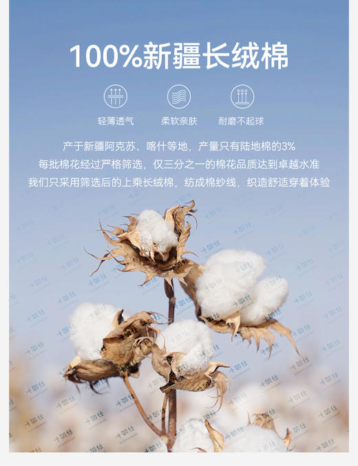 十如仕免烫商务休闲100%新疆长绒棉短袖衬衫301 商品图11
