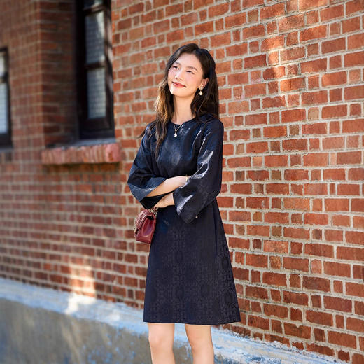 丁摩  极简重磅桑蚕丝+羊毛圆领光泽感提真丝连衣裙秋季5ZF-76002 商品图1