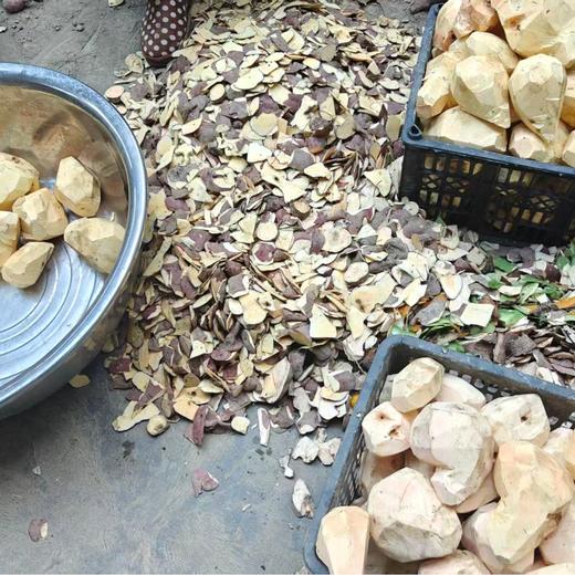 【果之澜农场的番薯粉】果之澜开化农场出品！正宗番薯粉，无除草剂、不用化肥，没有农药，纯手工洗，更干净更健康！15元一斤，运费10元，5斤起包邮，江浙沪顺丰包邮~ 商品图1