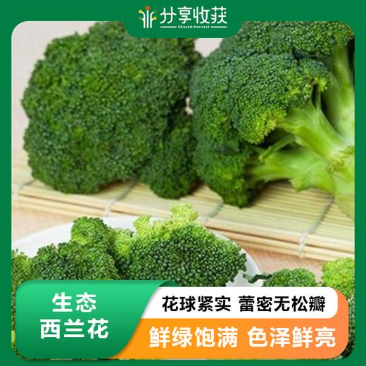 生态西兰花  | 口感清脆 | 石嫣农场|  broccoli 商品图0