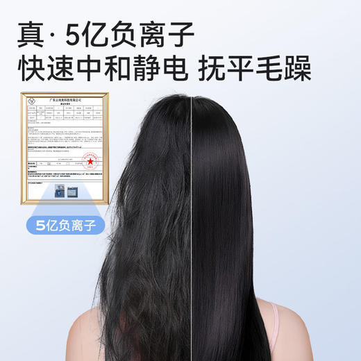 [施耐德]高速吹风机 商品图2