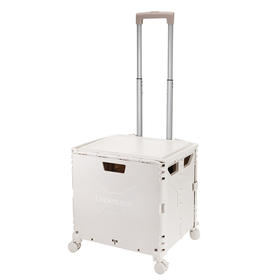 [乐扣]多功能折叠储物箱45L(38.5cm*44cm*34.5cm)