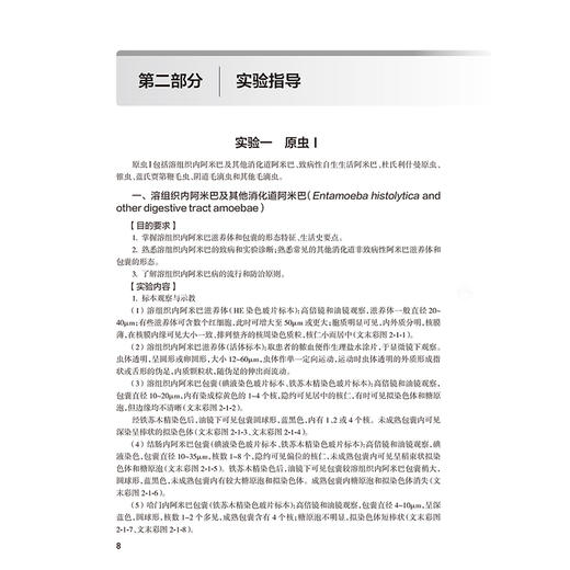 人体寄生虫学实验指导 第4四版 十四五规划教材配套教材全国高等学校配套教材 程彦斌 彭鸿娟 供基础等医学类专业用人民卫生出版社 商品图4