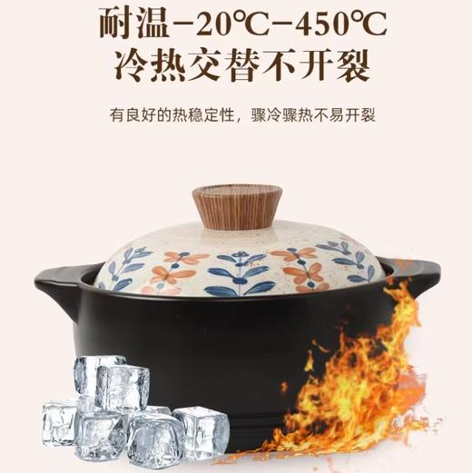 4楼Eubelle欧蓓 川岛屋日式砂锅煲耐高温 燃气灶 大容量炖汤煲汤锅 活动价：158元 商品图2