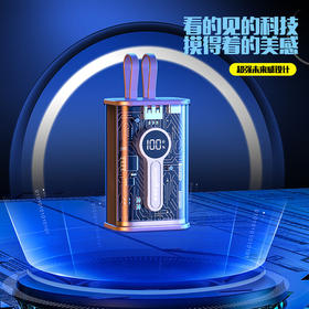 【分仓直发包邮】KOOKZZ酷客者透明超级快充移动电源（可上飞机）DY12