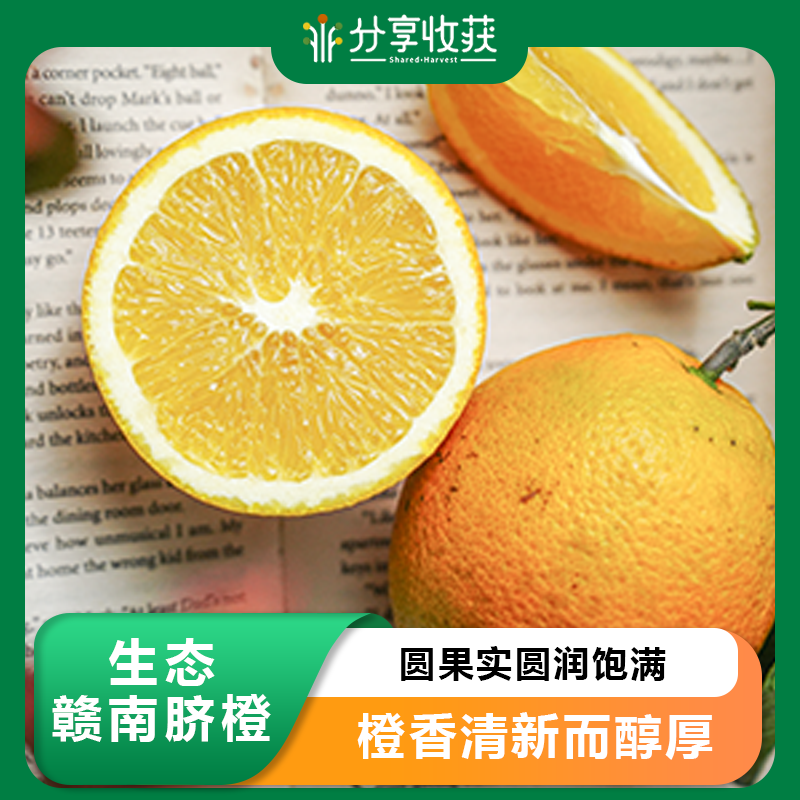 生态赣南脐橙 | 合作生产 | 基地直发*Ecological Gannan Navel Orange