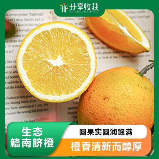 生态赣南脐橙 | 合作生产 | 基地直发*Ecological Gannan Navel Orange 商品图0