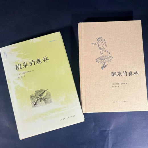 醒来的森林(二版) 约翰·巴勒斯 著 美国自然文学译丛 三联书店旗舰店 商品图2