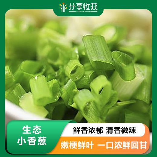 生态小香葱 | 清香微辣 | 石嫣农场* Chive/Scallion | Self-Produced 商品图0
