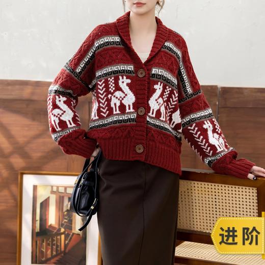 苏苏姐家印加青果领开衫手工DIY棒针衣服毛线团自制外套材料包 商品图0