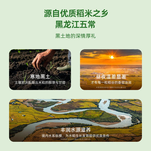 MM 山姆 柴火大院 有机胚芽米C 5kg（1.25kg*4） 商品图2