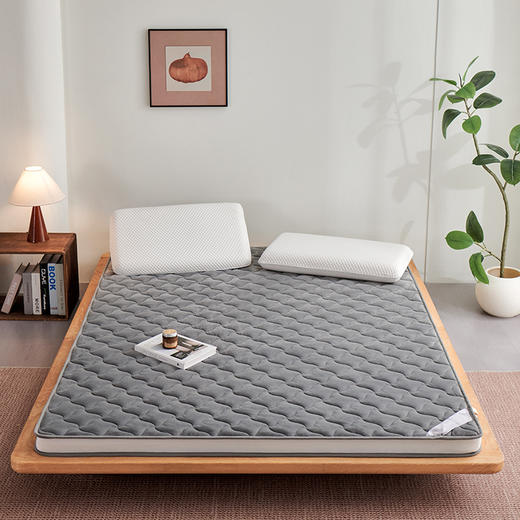 多喜爱 格瑞煦暖舒压垫【5CM立高】【双层填充】【高克重煦暖绒】科学分层 多孔透气 蓄热保暖 商品图12