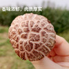 【厂商直发】有机鲜香菇段木香菇1斤/2斤香味浓郁肉质厚实自然鲜美包邮 商品缩略图2