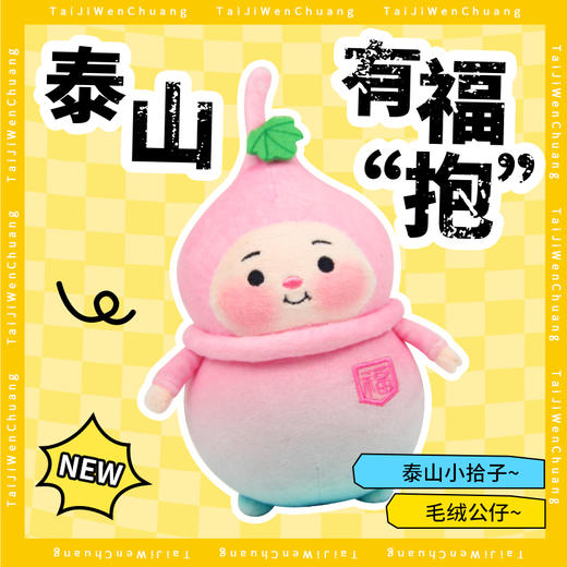 遇石记泰山文创泰山福宝系列小拾子毛绒公仔旅游纪念品伴手礼 商品图0