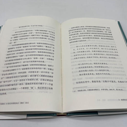 悉为我有！——11世纪中国的快乐、拥有、命名 宇文所安（Stephen Owen）著 宇文所安作品系列 三联书店旗舰店 商品图4