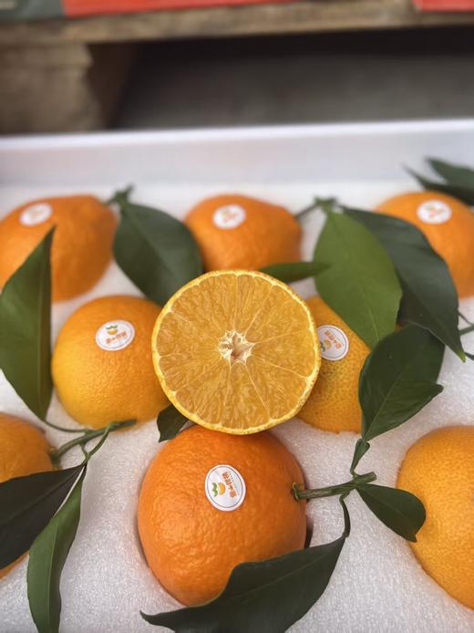 【象山红美人】 我们只做核心产区晓塘货 商品图1