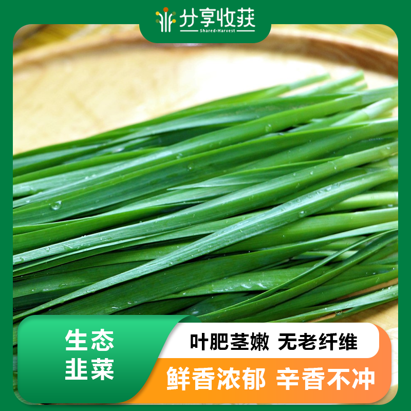 生态韭菜 | 风味十足 | 石嫣农场 * Eco-friendly Chinese Chives
