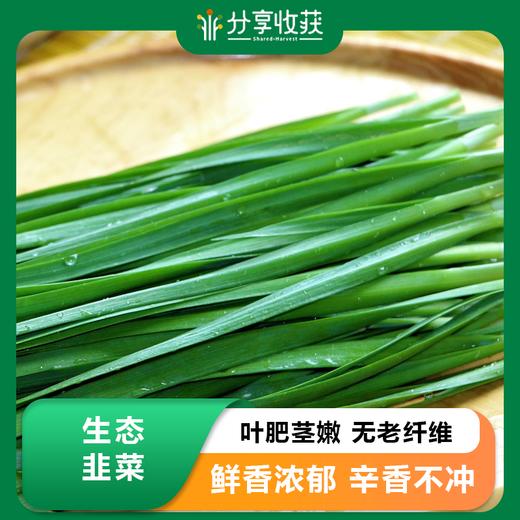 生态韭菜 | 风味十足 | 石嫣农场 * Eco-friendly Chinese Chives 商品图0