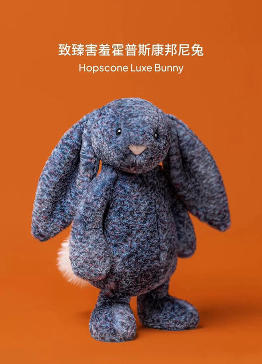 【必败榜一一常年有货 送礼必备】马年新款来了 Jelly各种 公仔 集结号 生日礼物 伴手礼 不知道送啥时 送她 不睬坑 混合系列 商品图6